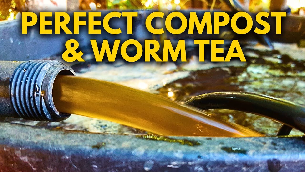 The Secrets to Making Perfect Compost & Worm Tea Every Time