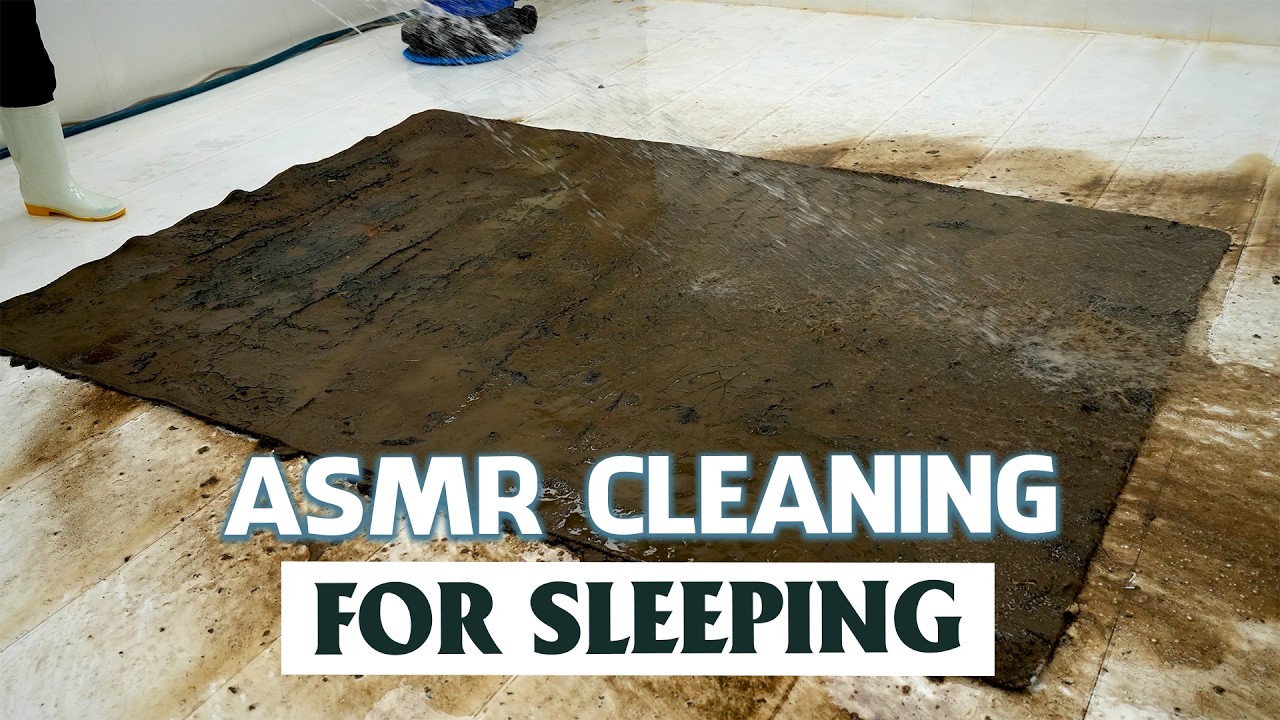 Carpet Cleaning ASMR for Insomnia – Satisfying Deep Sleep Sounds, Stress Relief