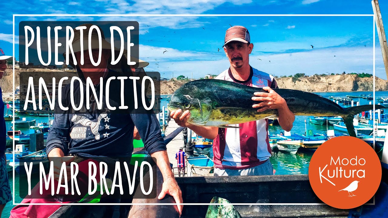 👉Anconcito puerto pesquero y Mar Bravo🌊 Salinas Ecuador, tipos de pesca 🎣, fauna y paisajes🌅