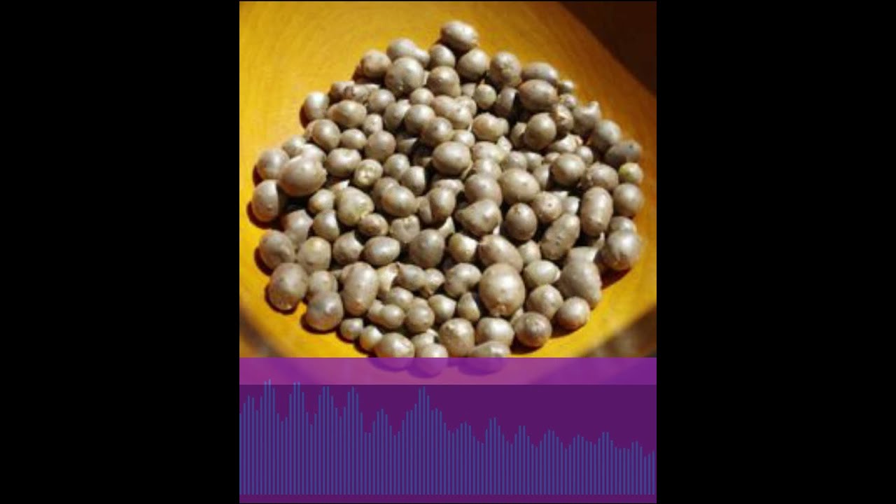Fairy Food: The Lore of the Fairy (Air) Potato Across Cultures