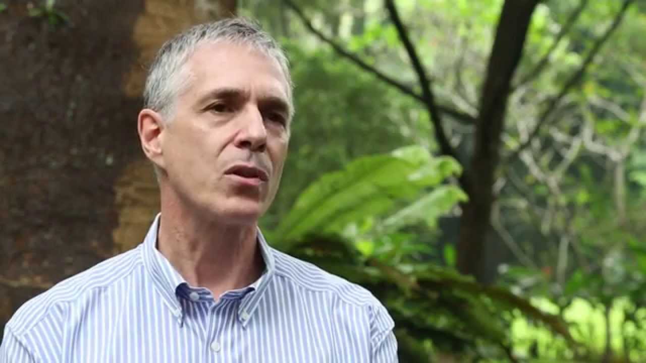 Challenges for local REDD+ initiatives