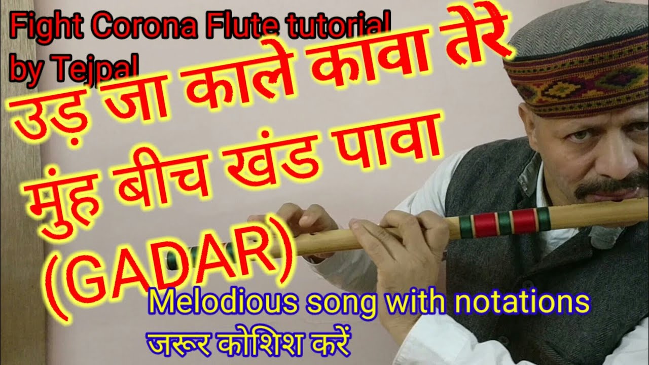 Udjaa kaale kaawa flute tutorial || with notations by Tejpal || Gadar movie flute song