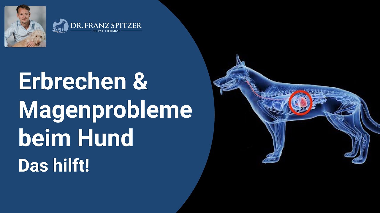 Erbrechen & Magenprobleme - warum Säureblocker bzw. Magenschutz-Tabletten  genau das Falsche sind!