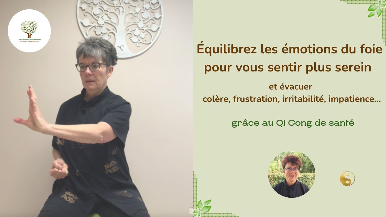 ☯️ Équilibrez vos émotions pour vous sentir plus serein avec "Le dragon vert sort ses griffes" 🐉