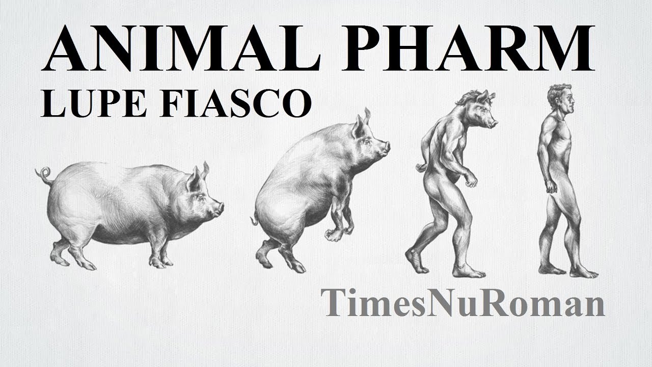 Lupe Fiasco - Animal Pharm (Lyrical Breakdown)