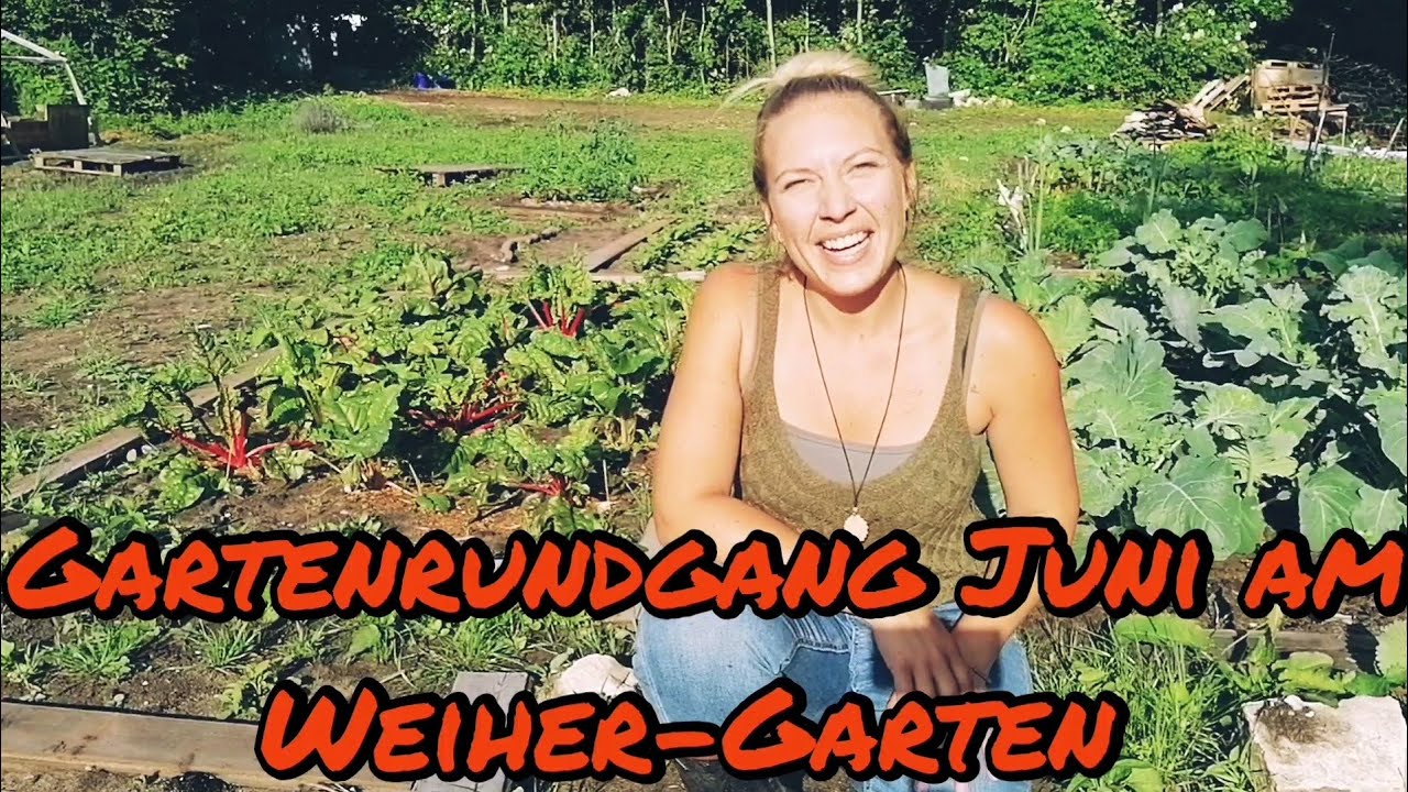 Gartenrundgang Juni am Weiher-Garten.  Teil 2 weils so schnell w&auml;chst...