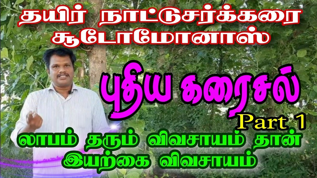 இயற்கை விவசாயத்தில் தயிர் நாட்டு சர்க்கரை சூடோமோனாஸ் கரைசல் Part 1