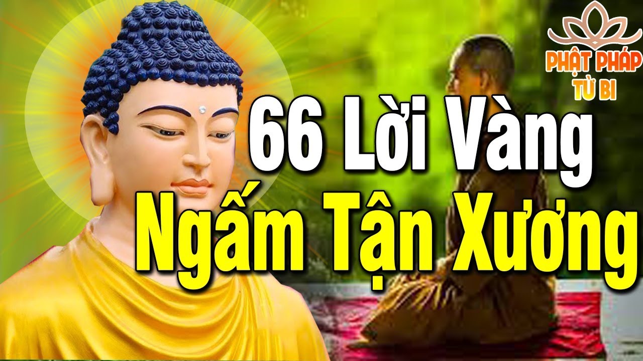 66 LỜI V&Agrave;NG PHẬT DẠY - Nghe Để Sống An Lạc Thảnh Thơi May Mắn Hạnh Ph&uacute;c Tự T&igrave;m Đến