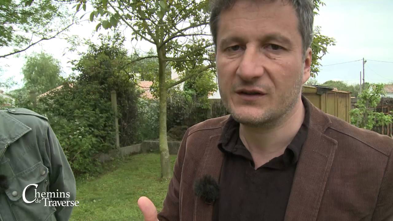 Chemins de traverse : Les pigeons voyageurs