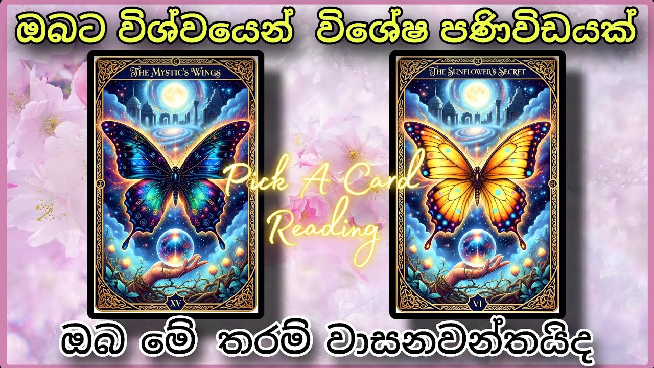 විශ්වයෙන් ඔබට පණිවිඩයක්  pick a Card Reading | #tarotcardreading #sinhala #astrology
