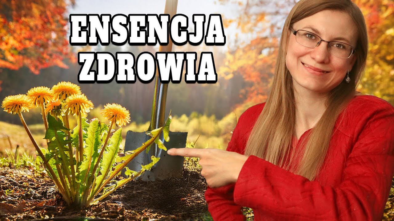 Jej Korzeń Jest Warty Miliony!
