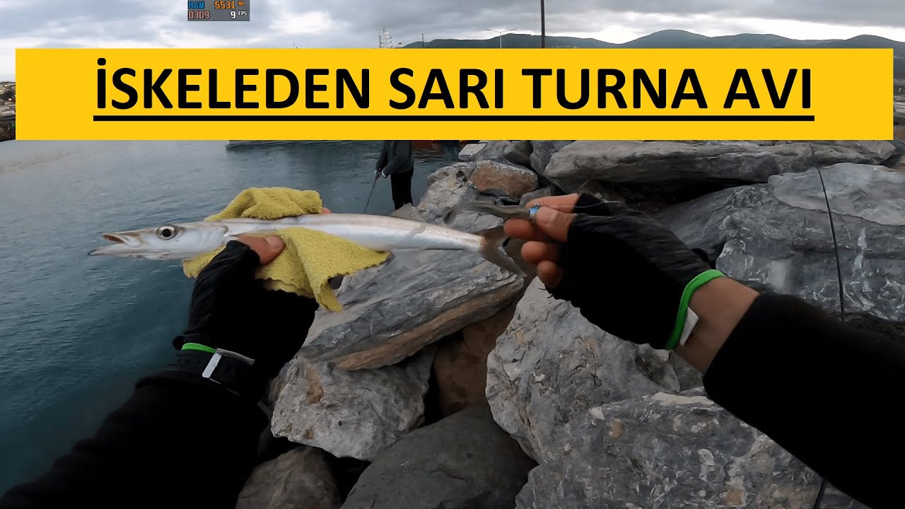 ALANYA İSKELEDEN LRF SİLİKON İLE SARI TURNA AVI | VARSA ALIRIZ!!!