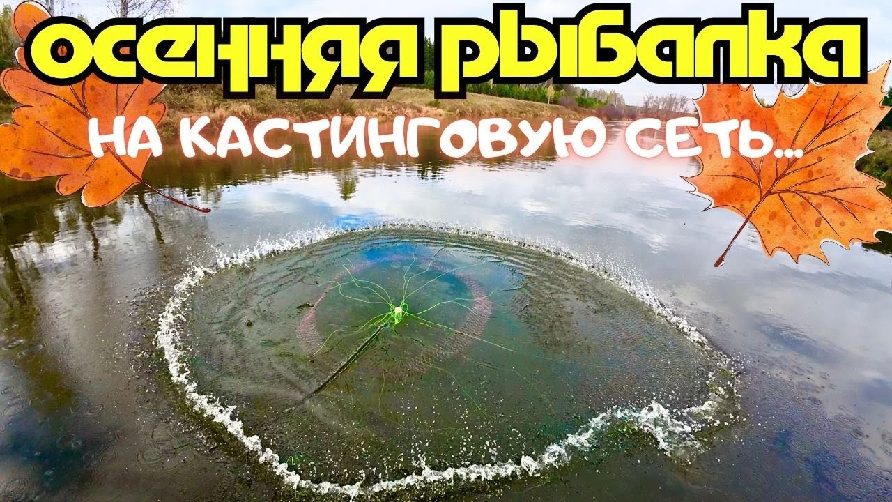 ОСЕННЯЯ РЫБАЛКА НА КАСТИНГОВУЮ СЕТЬ🕸️