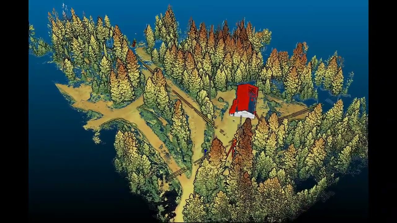 DIy TLS and Tree segmentation Fly through