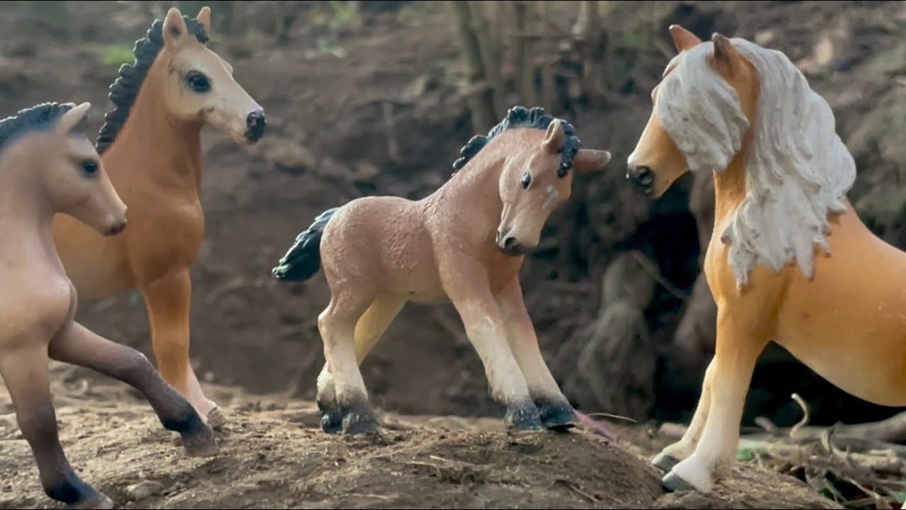 Избранный - фильм Schleich о лошадях, часть 1