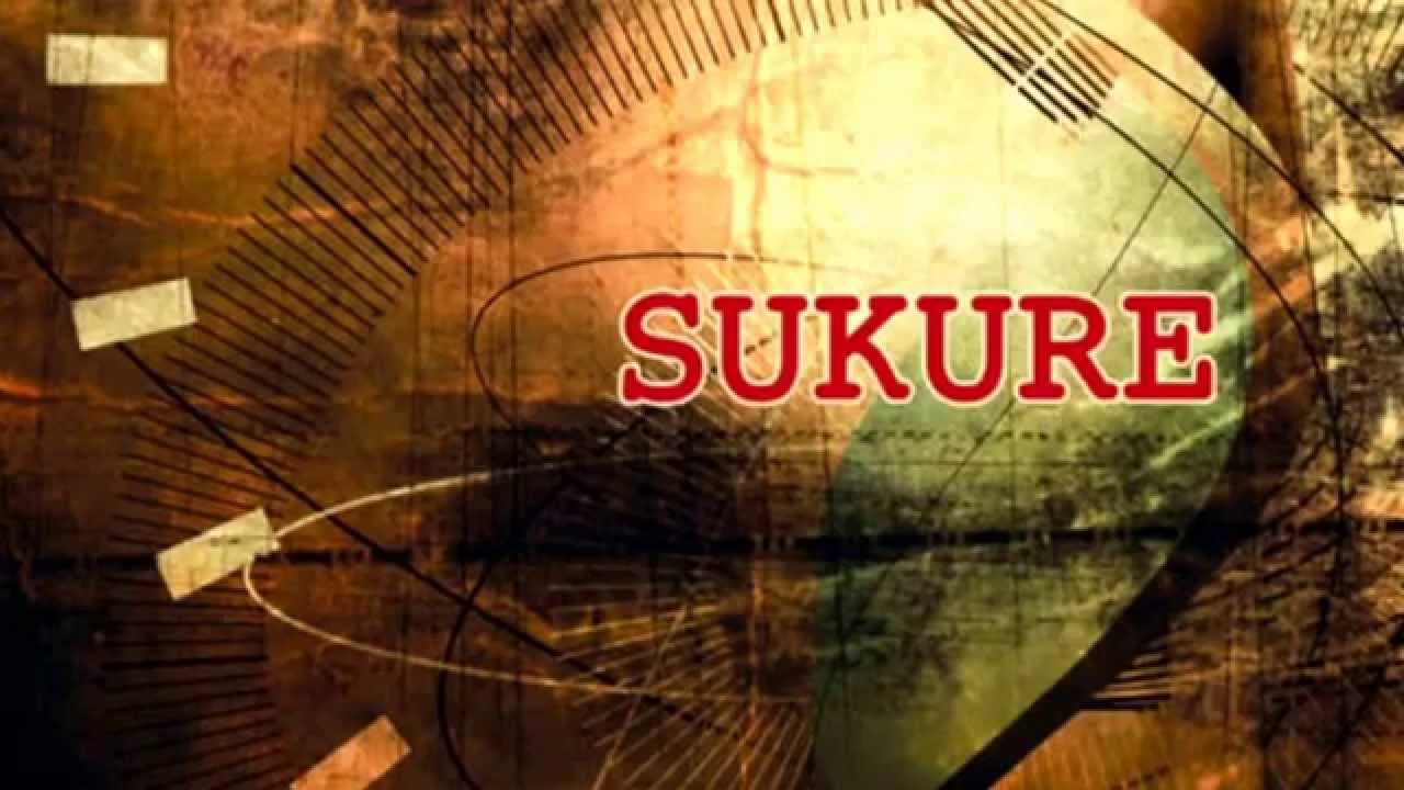 Alex laser y Dj Lobo - sukure