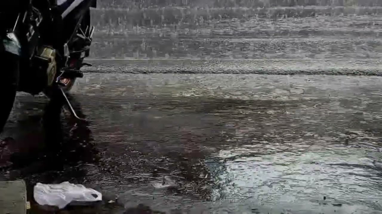 Relaxing Rain Near the Road | Sleep Faster