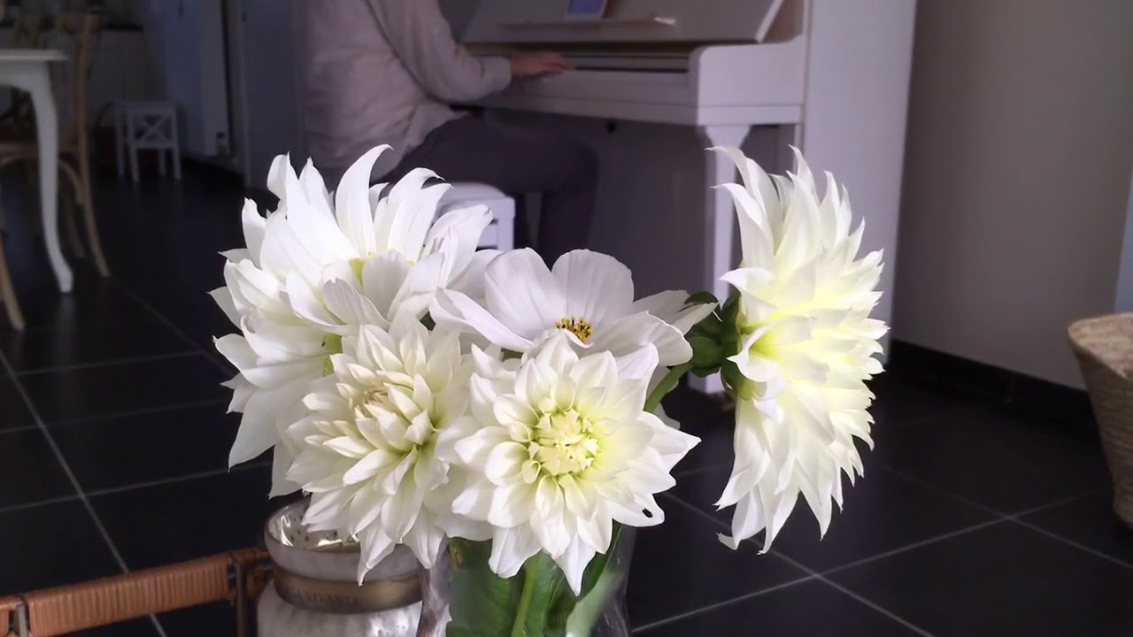 Calming Music - 44 - Afrikaans Folk Song: Sarie Marais - Piano Only - Unedited