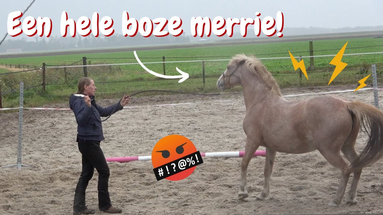Trainen met een onbetrouwbare merrie DEEL 1 | DressuurNatuurlijk