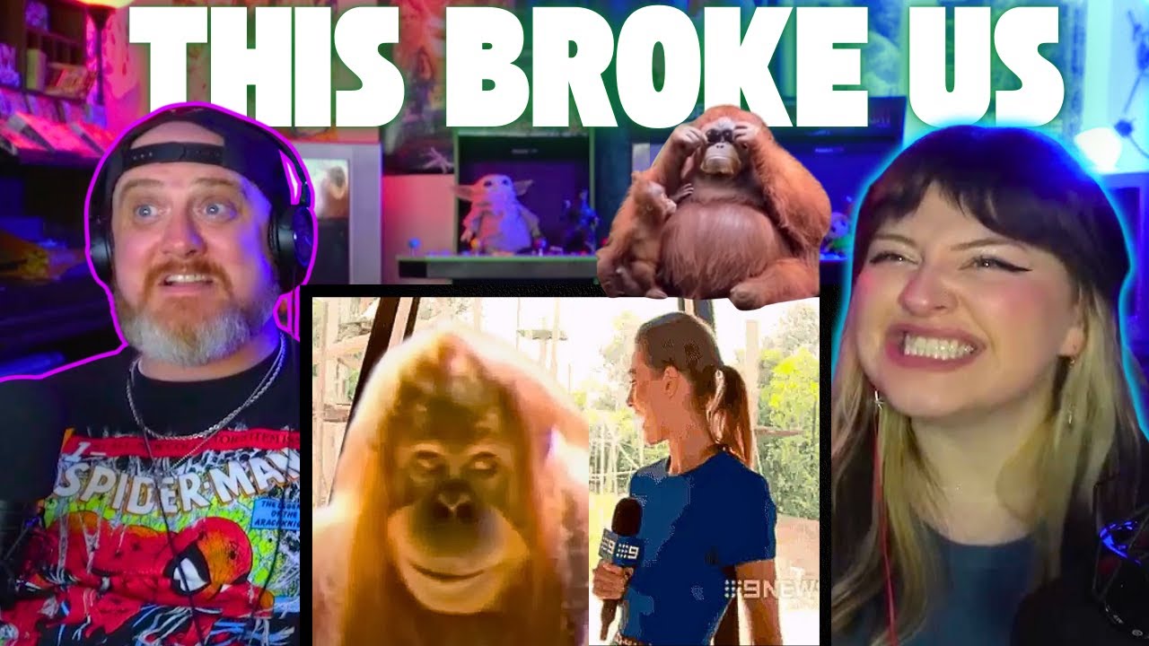 We Laughed, She Cried! Casual Geographic Does It Again! | HatGuy &@GnarlyNikki React@Casual Geographic