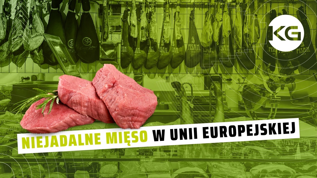 SKAŻONE MIĘSO Z BRAZYLI TRAFIŁO DO UNII EUROPEJSKIEJ. TAK DZIAŁA MERCOSUR?