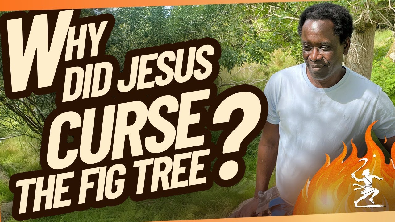 Why Did Jesus Curse The Fig Tree?