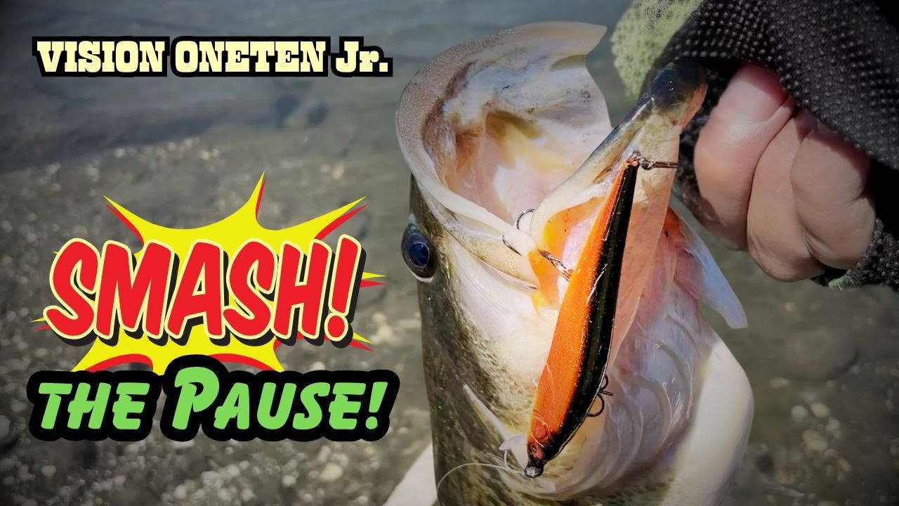 Megabass VISION ONETEN Jr.: The Little KING of Jerkbaits