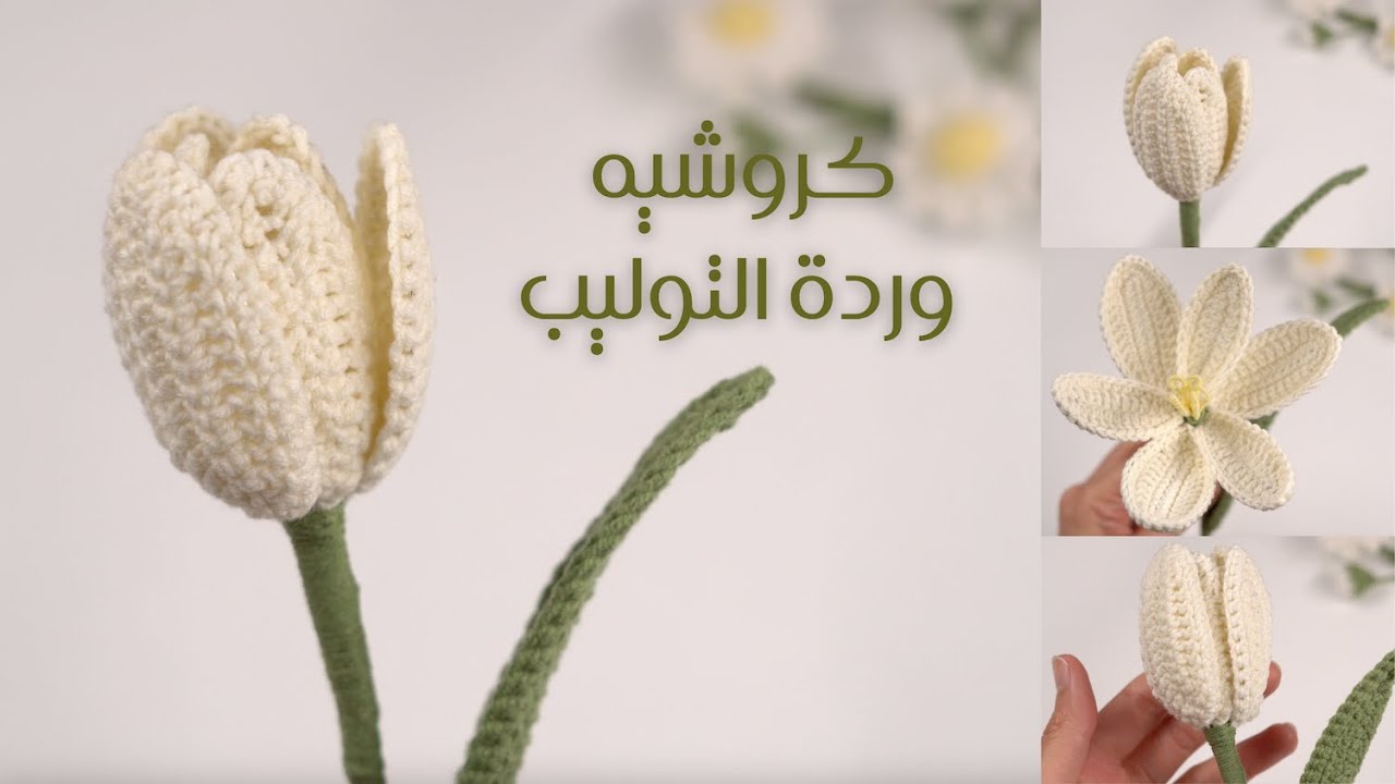 شرح مبسط لحياكة وردة التوليب بالكروشيه || Simple tutorial for crocheting a tulip flower