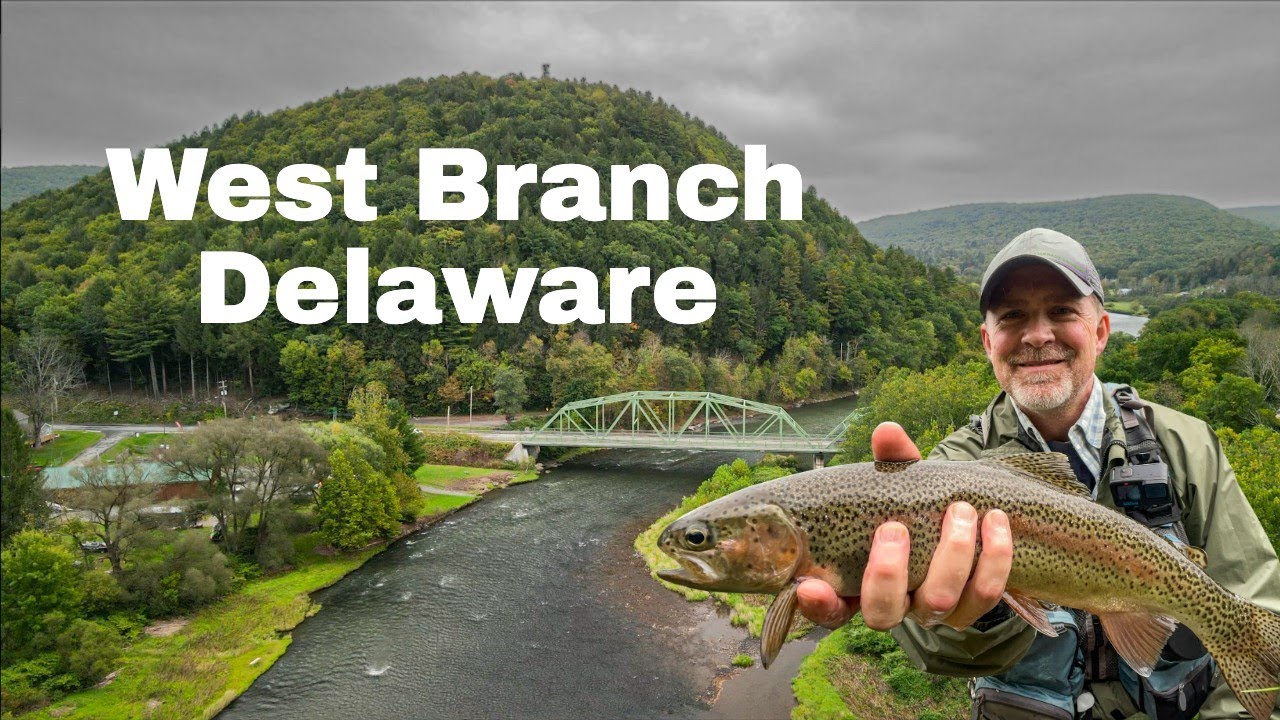 Amazing Dry Fly Action (ISOs and BWOs) | Autumn on the West Branch Delaware River - Hancock, NY