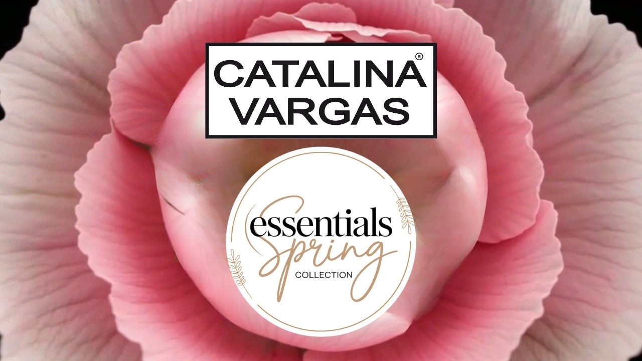 ESSENTIALS SPRING COLLECTION 2026 🌸 | Catalina Vargas – Elegancia que florece contigo