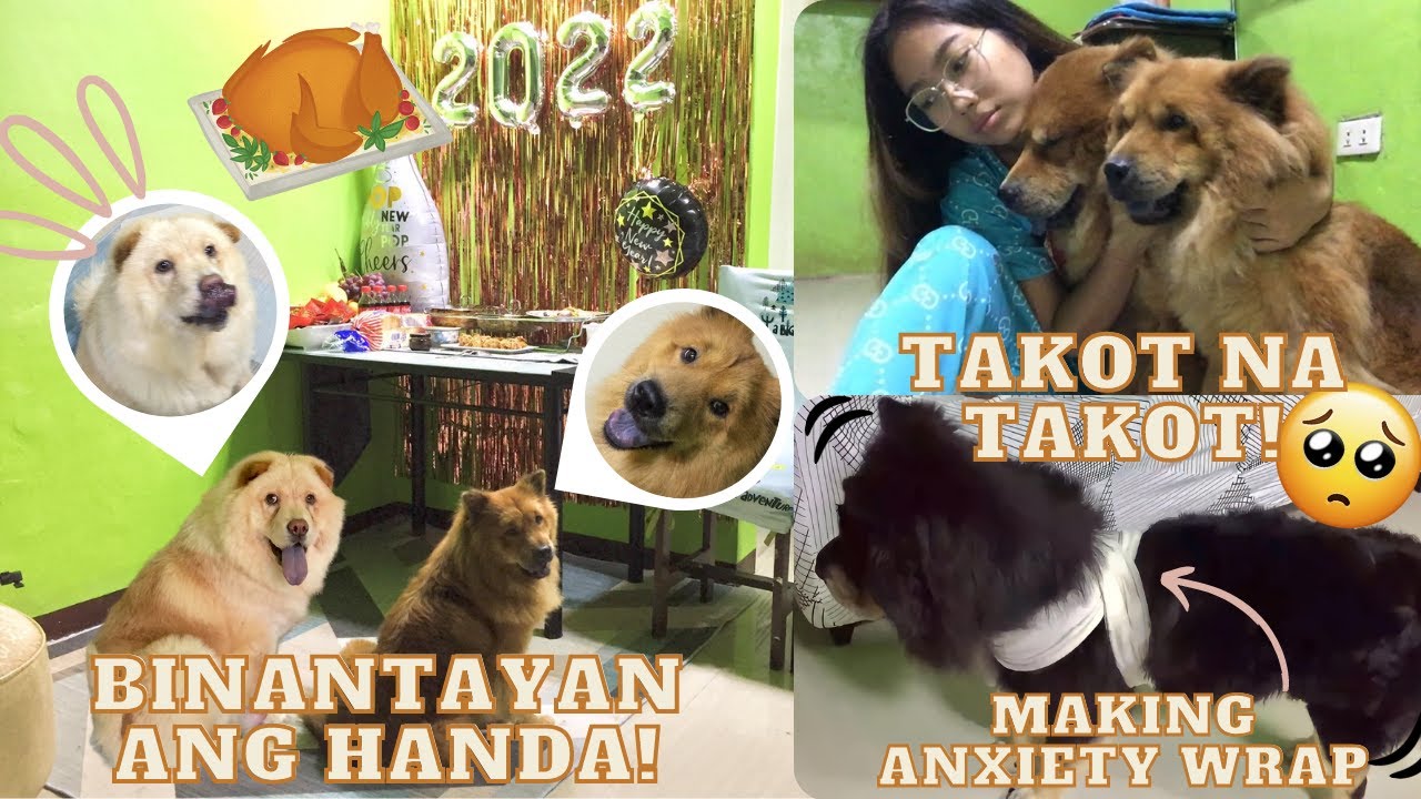 BINANTAYAN ANG HANDA!? | MY DOGS DIFFERENT REACTION TO FIREWORK | TAKOT NA TAKOT SI LUCKY! | CHOW TV