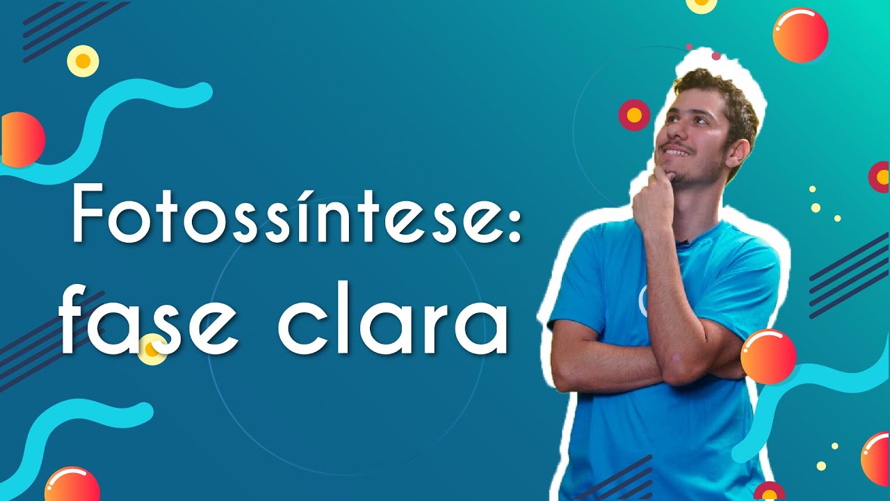 Fotossíntese: fase clara  | Brasil Escola