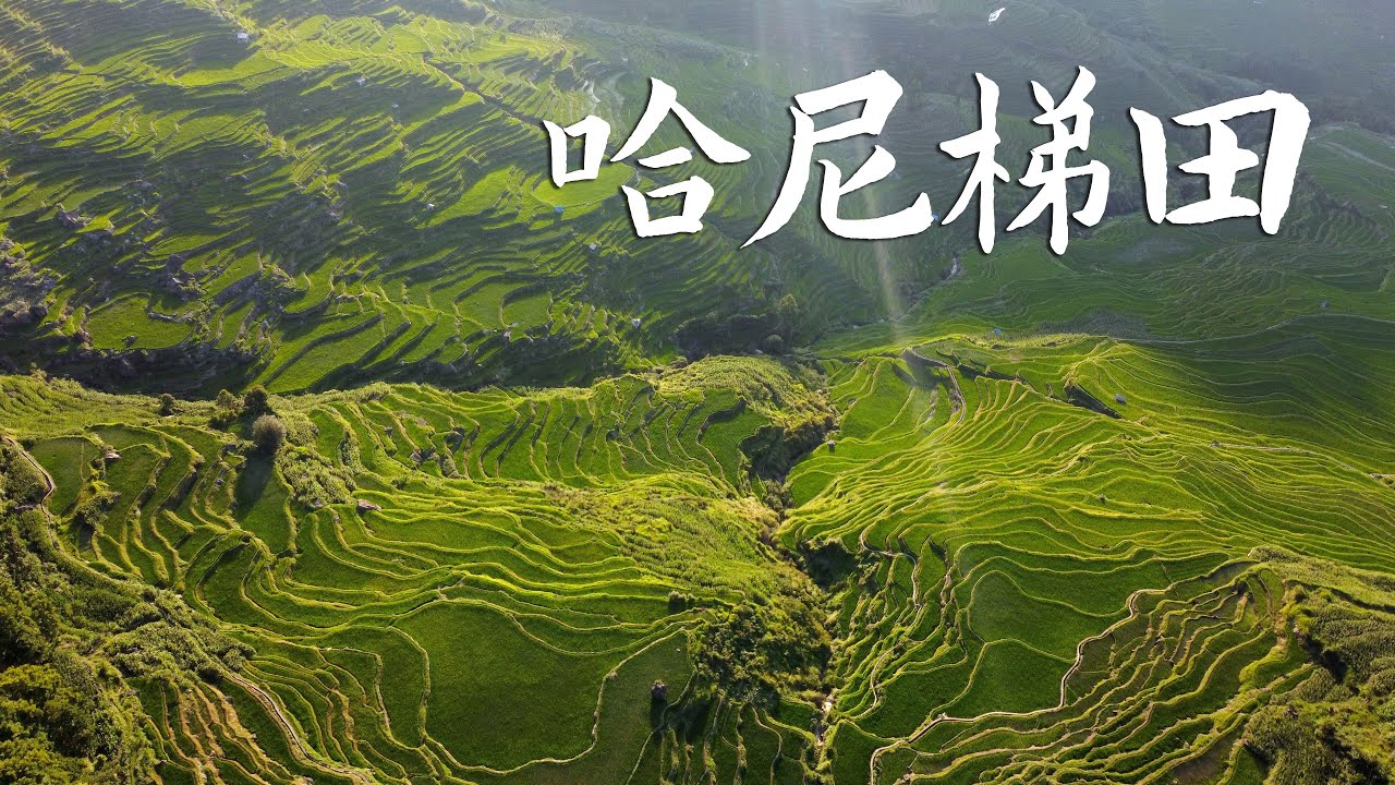 走进漫画里是什么体验？世界遗产元阳梯田，哈尼族1300年打造惊人世界奇迹！