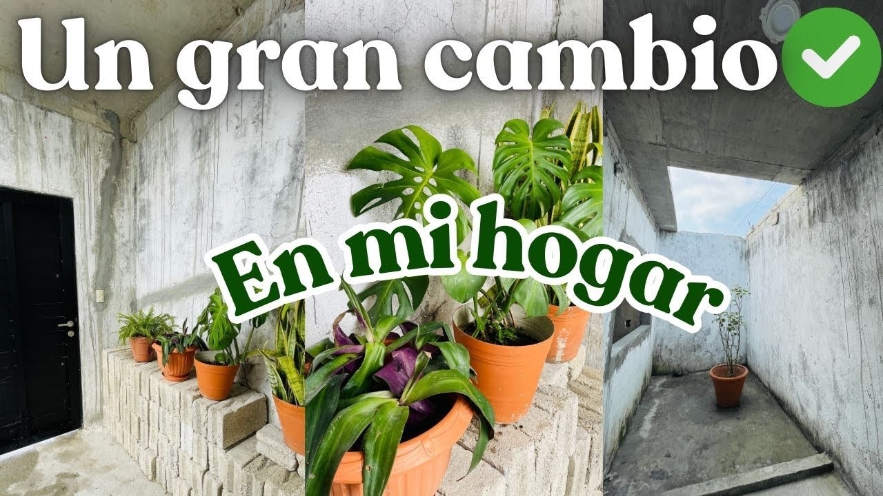 ✨CAMBIOS EN NUESTRO HOGAR 🏡 cuidando mi hogar ✅ORGANIZACIÓN Y LIMPIEZA
