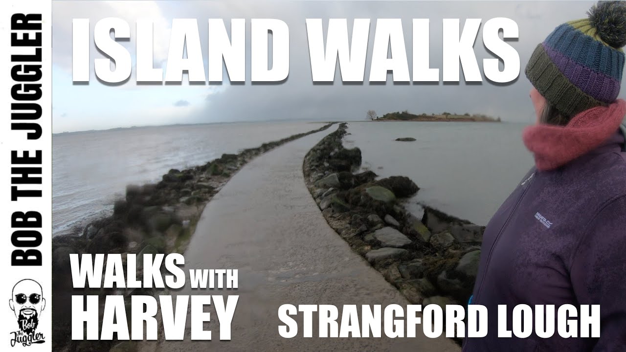 Walks with Harvey - Island Walks, Strangford Lough