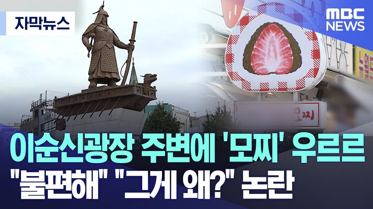 [자막뉴스] 이순신광장 주변에 '모찌' 우르르 