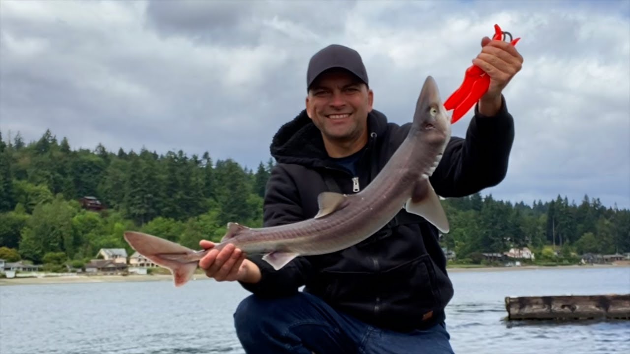 Puget Sound Pier Fishing