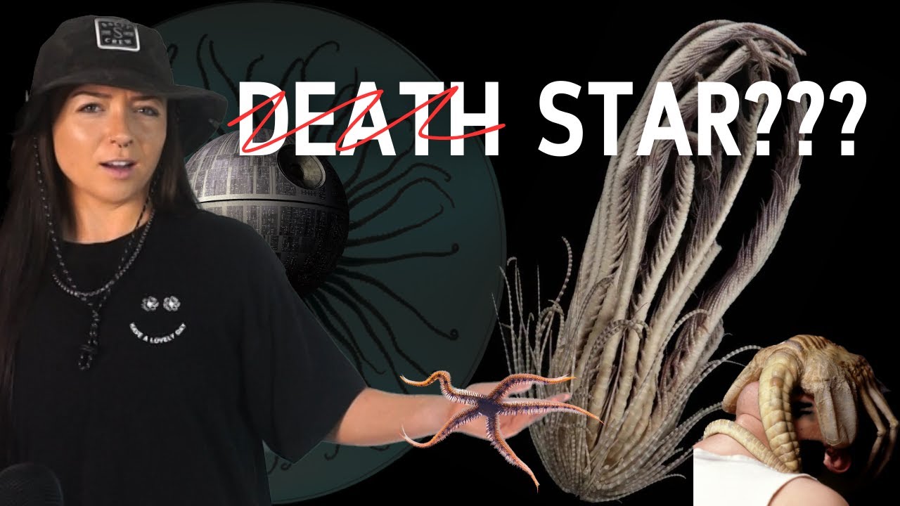 Zoologist Answers: WTF is THAT? (All Star Edition) | Lindsay Nikole