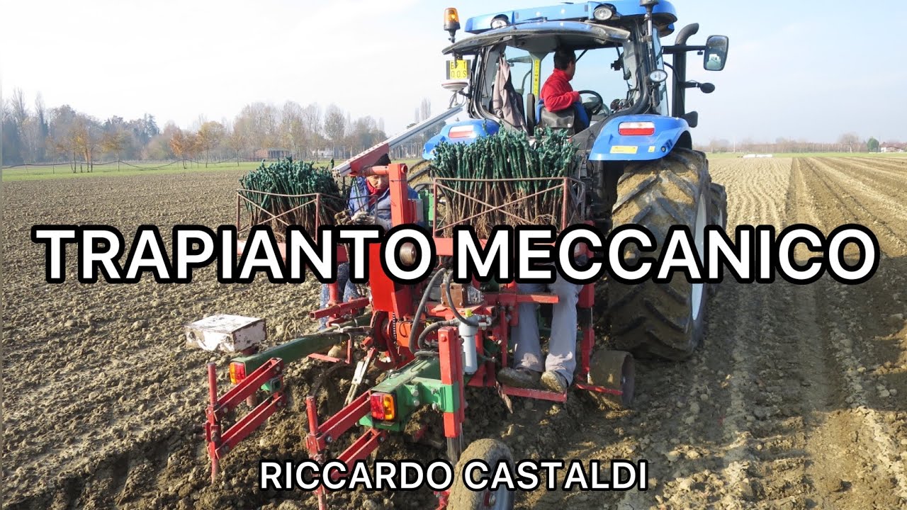 Vite. Trapianto meccanico GPS delle barbatelle per un vigneto perfetto!