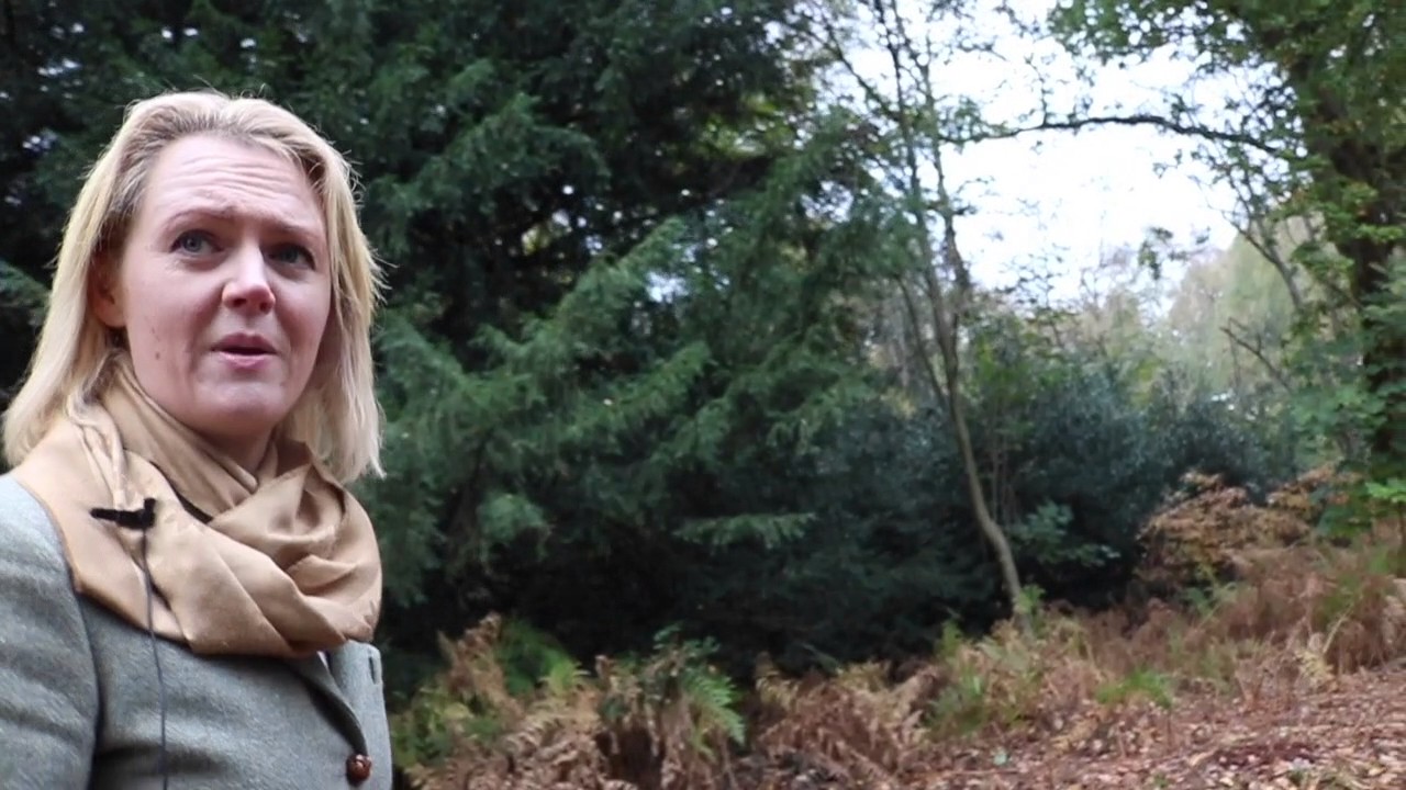 Fritton Tour - Build Your Own Personalised Holiday Home