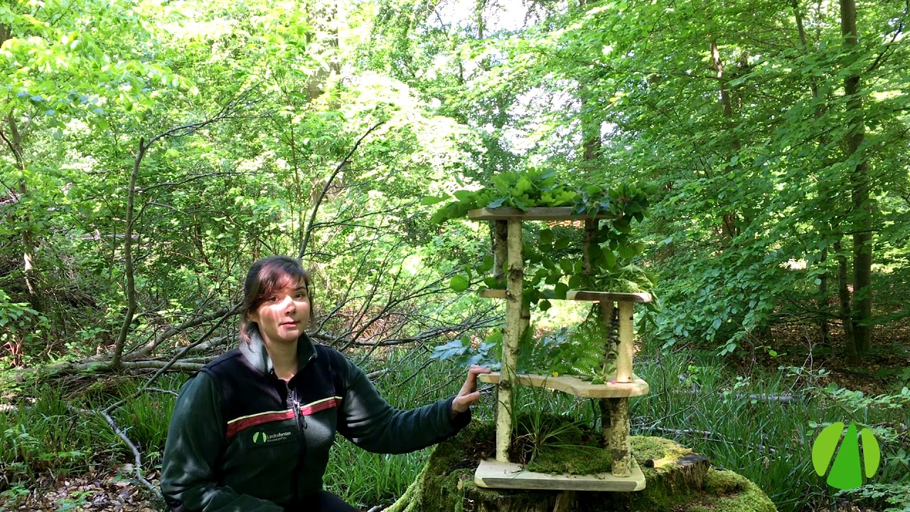 Stockwerke des Waldes