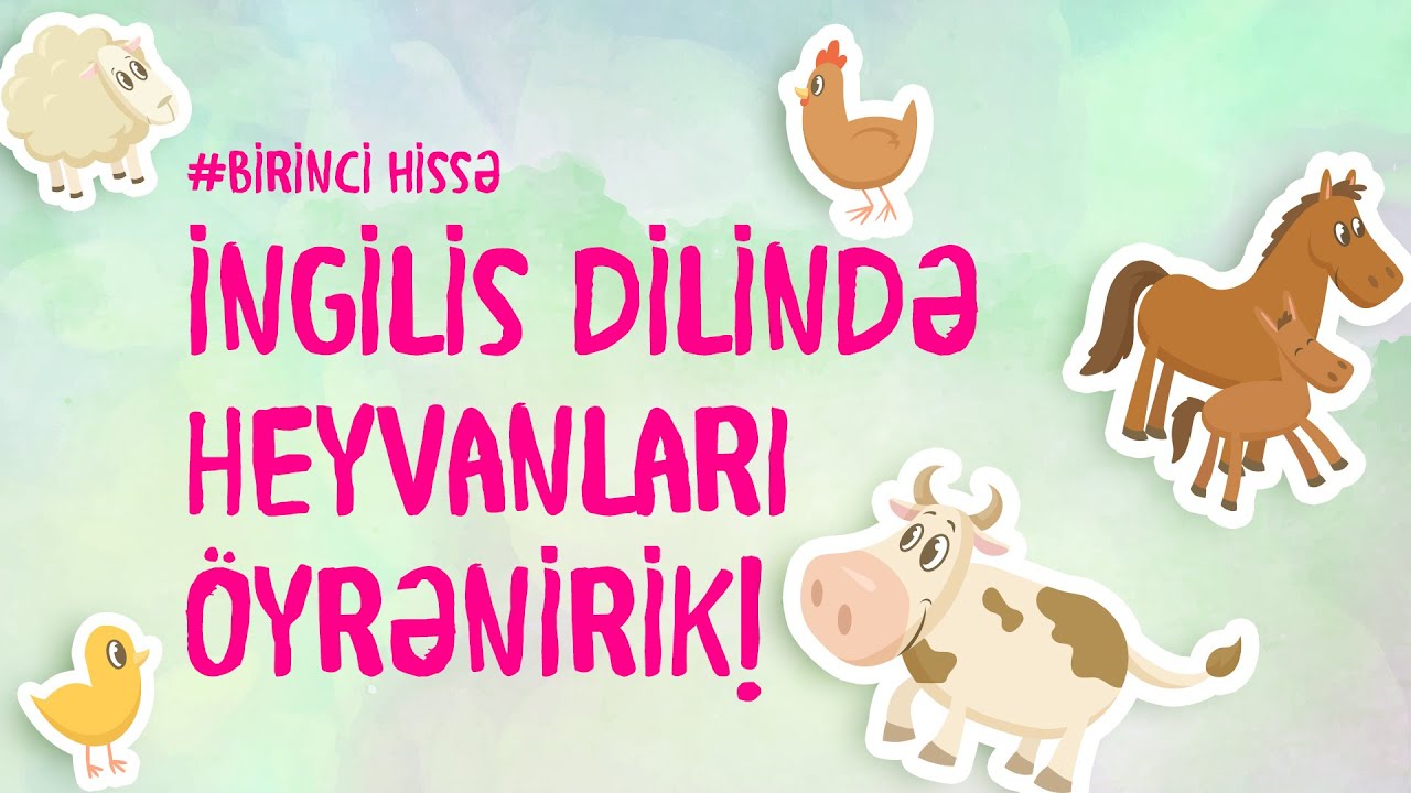 İNGİLİS DİLİNDƏ HEYVANLARI &Ouml;YRƏNƏK! (Azərbaycan dilində qarşılığı ilə) #5