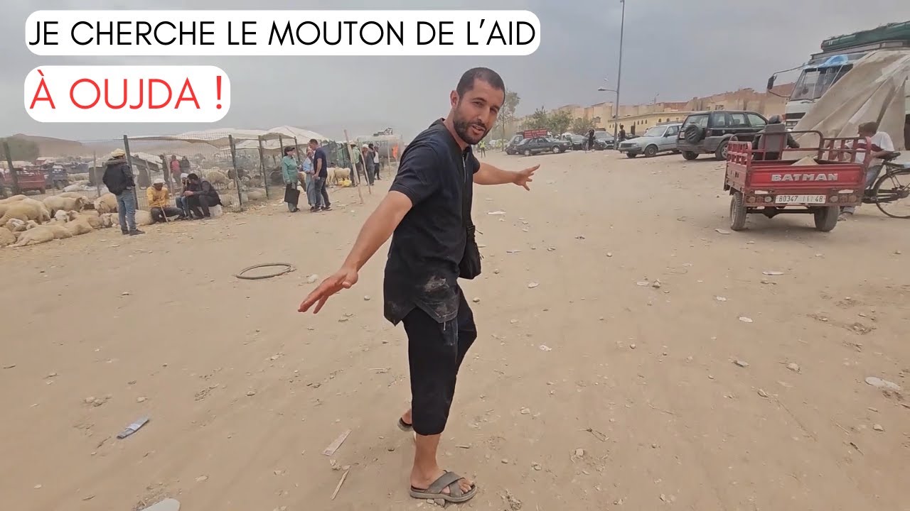 Je parcours les marchés de Oujda à la recherche du mouton de l'aid !