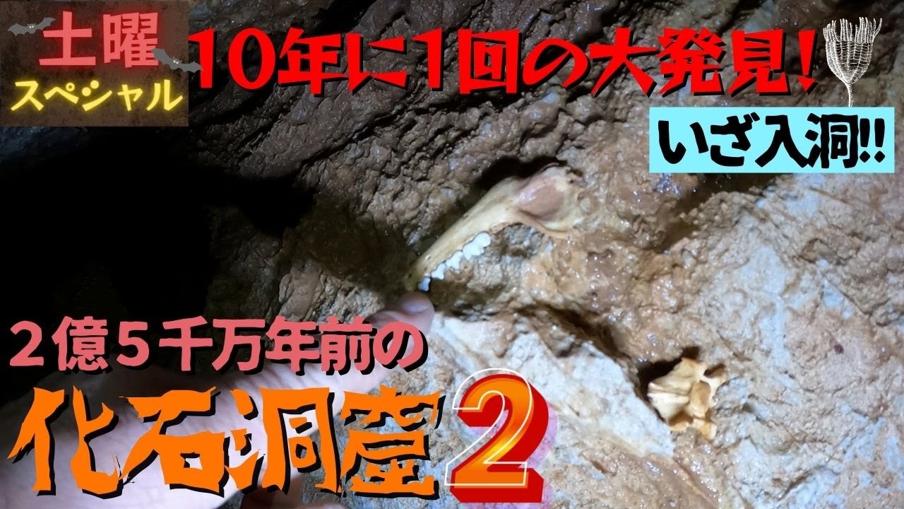 化石洞窟②【いざ入洞‼】２億５千万年前の化石眠る神秘の穴
