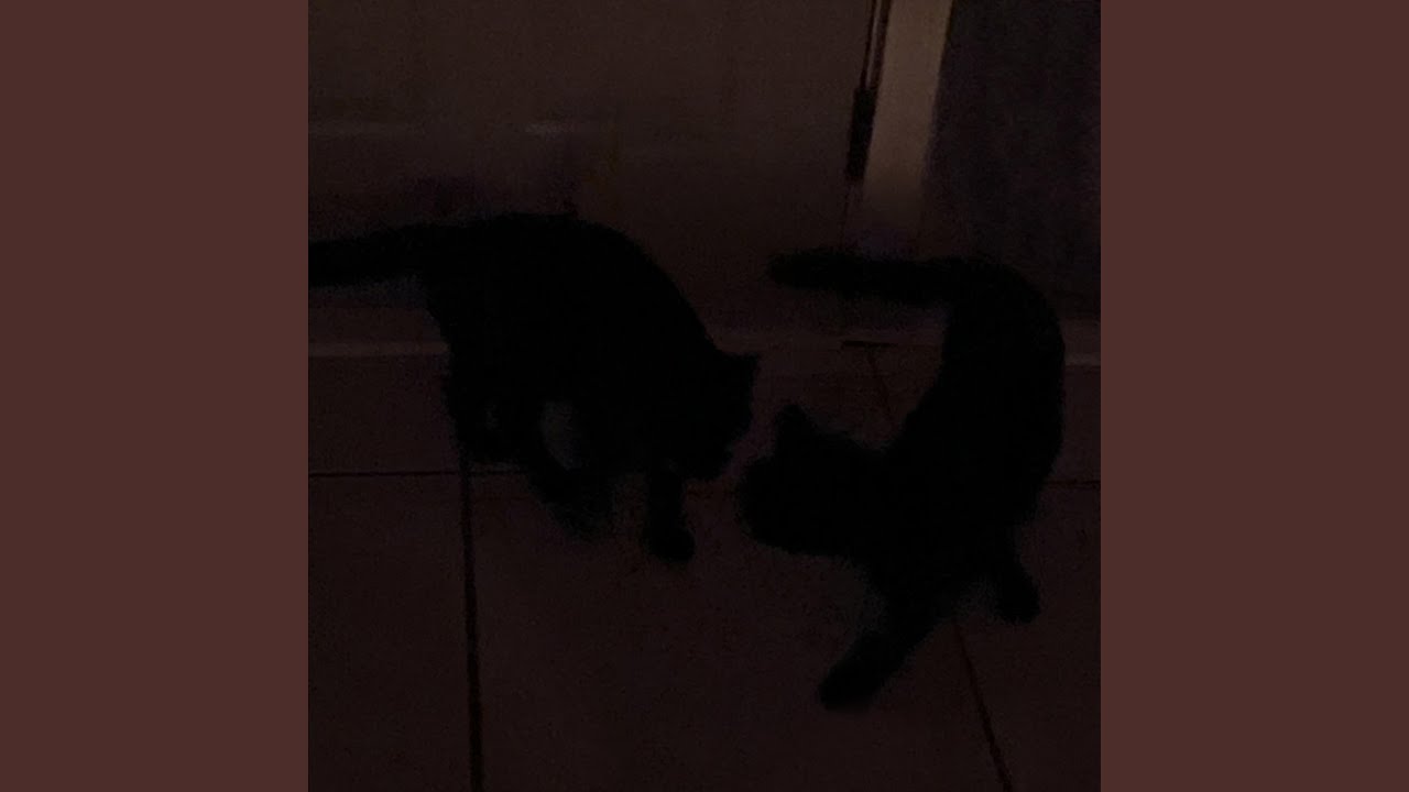 mytearsaresaltybittersweet