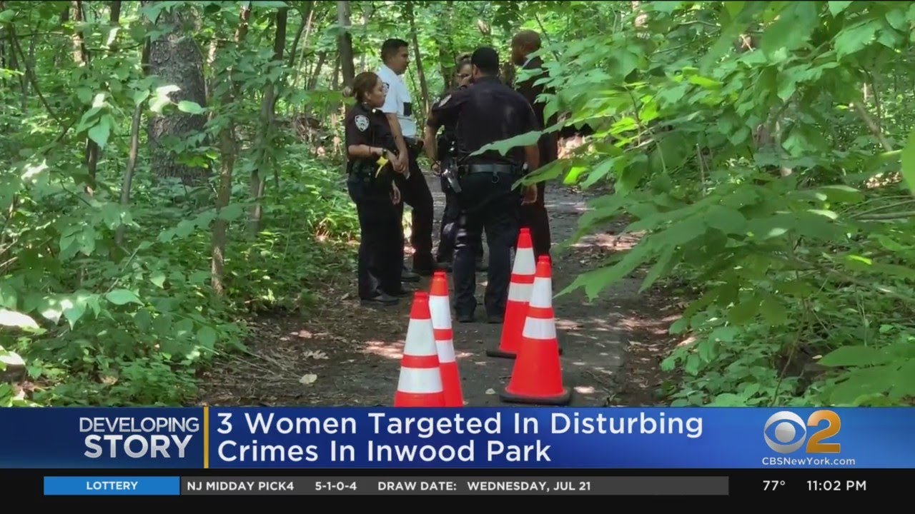 3 Women Targeted In Disturbing Crimes In Inwood Park