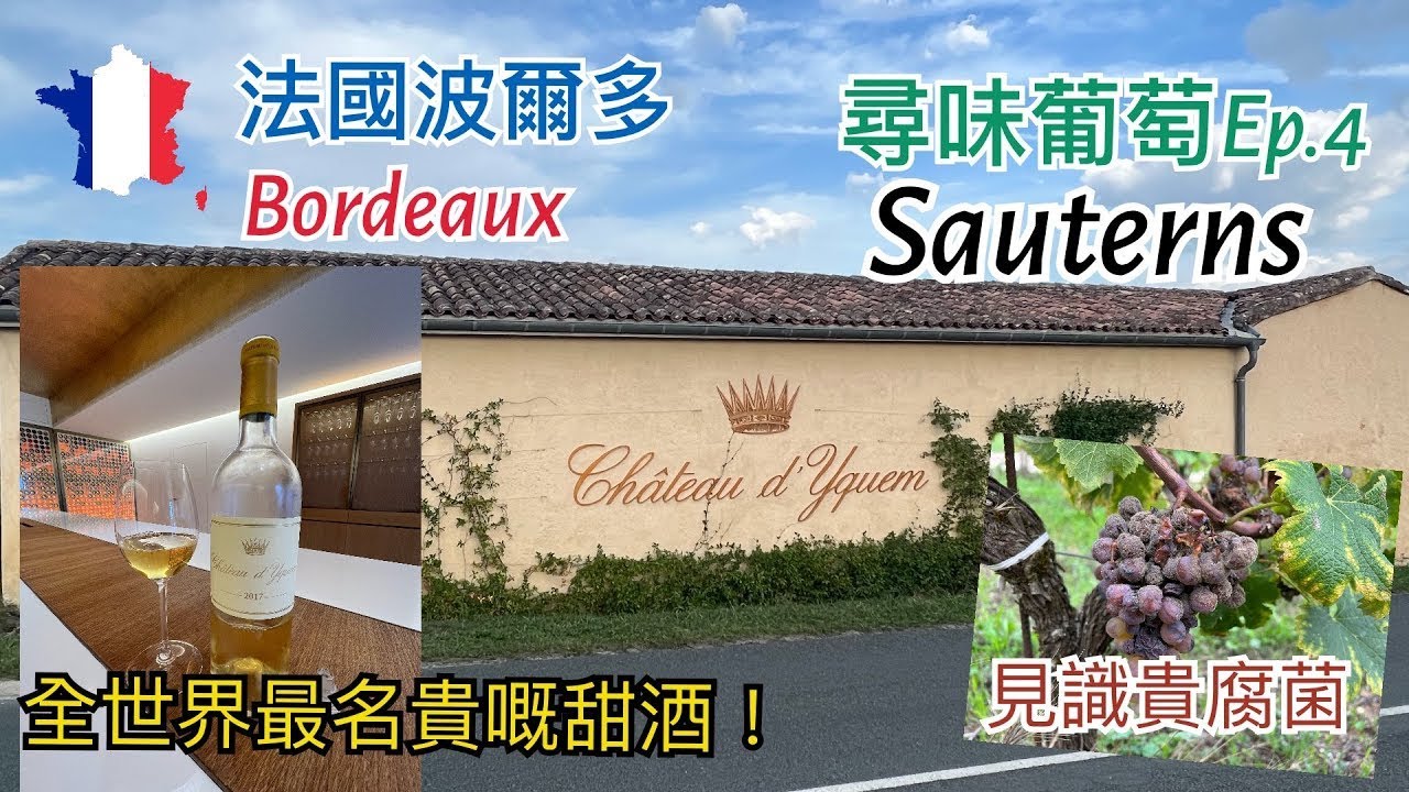 [第四集]🇫🇷法國波爾多France Bordeaux尋味葡萄之旅: Château d'Yquem 滴金酒莊,Château Caillou/Doisy Daëne,著名甜白酒產區Sauterns
