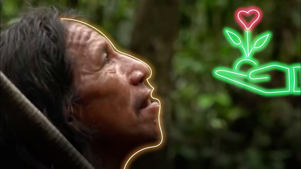 Amazonia en peligro 🌿🌍 la lucha contra la pérdida de bosques