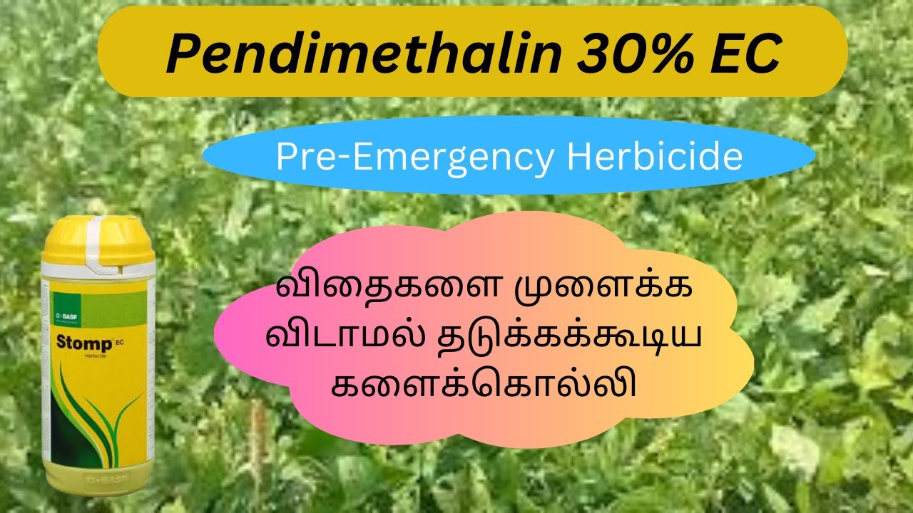 BASF | Stomp EC | Pendimethalin 30%EC | Tamil | Herbicide | control of some seed germination