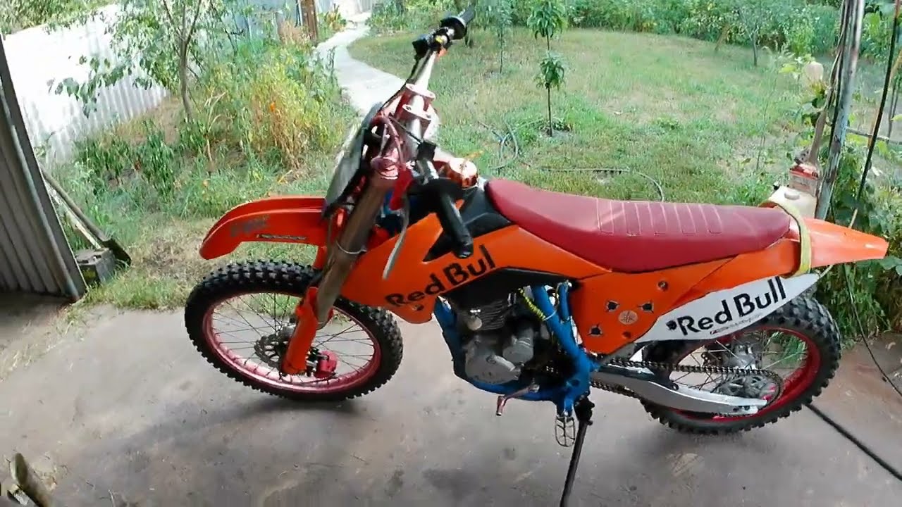 В семье появился второй конь